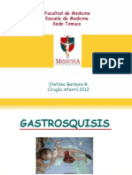 Gastrosquisis Presentación