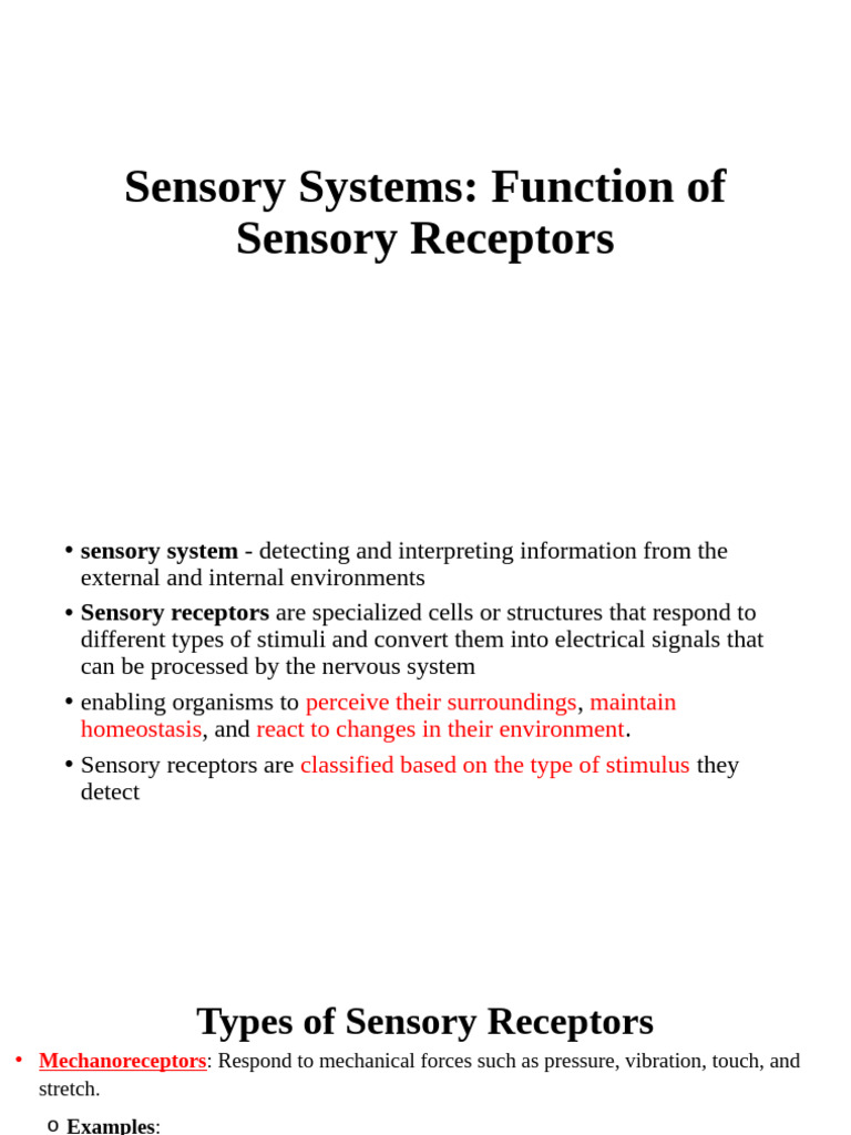 Overview of Sensory and Motor Systems | PDF | Motor Neuron | Stimulus ...