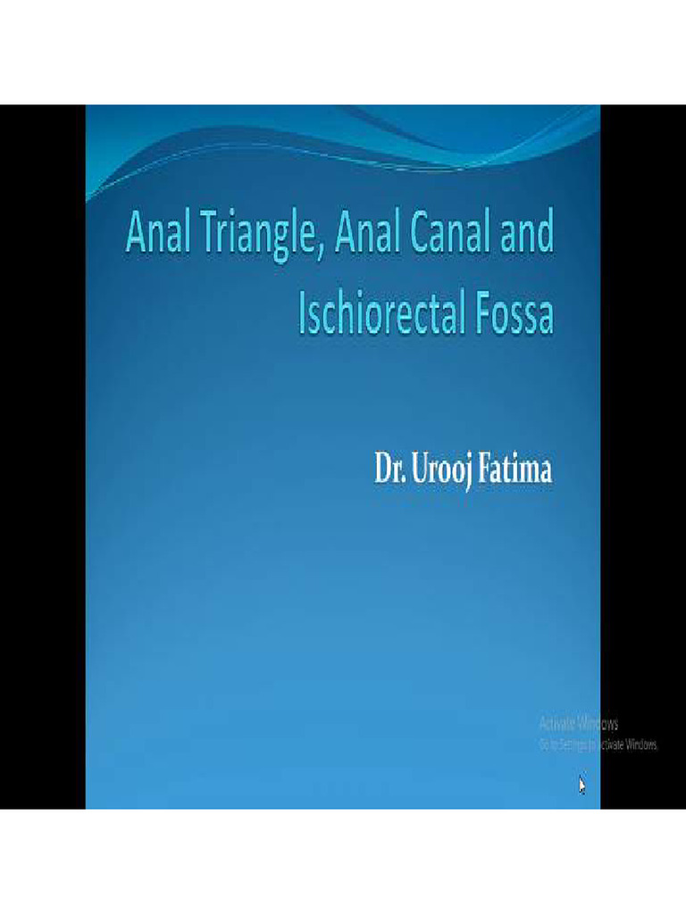 Anal Triangle, Anal Canal and Ischiorectal Fossa | PDF