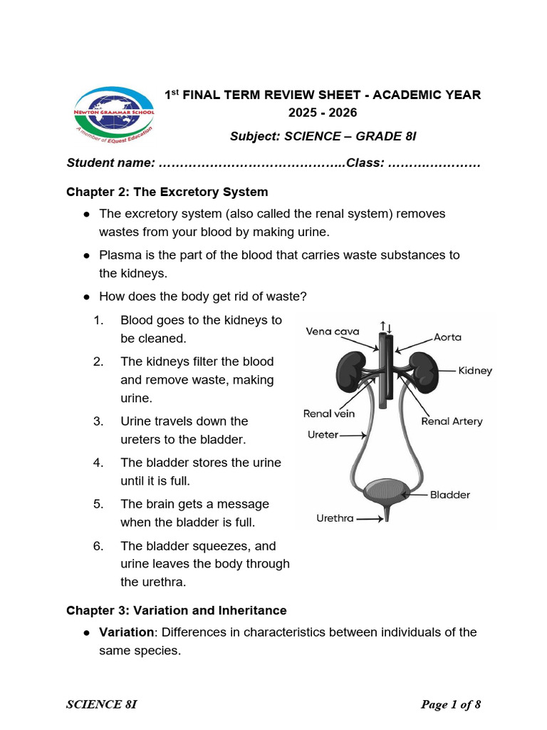 Grade 8 Science Final Review Guide | PDF | Chemical Bond | Ion