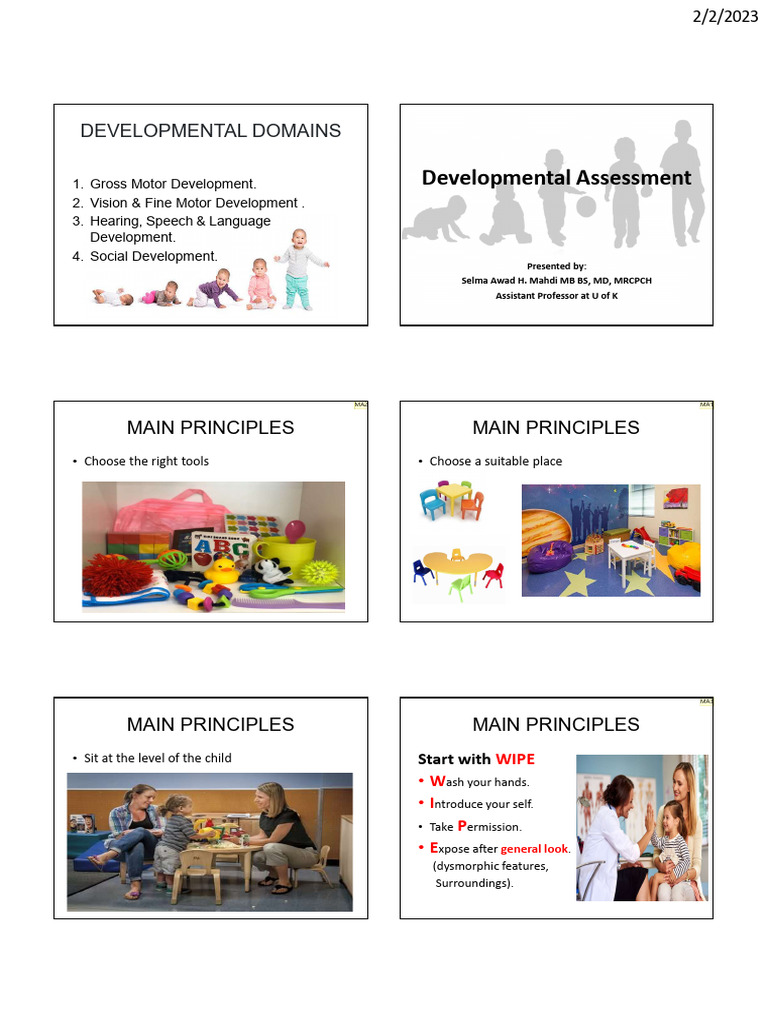 Developmental Assessment@Edited | PDF
