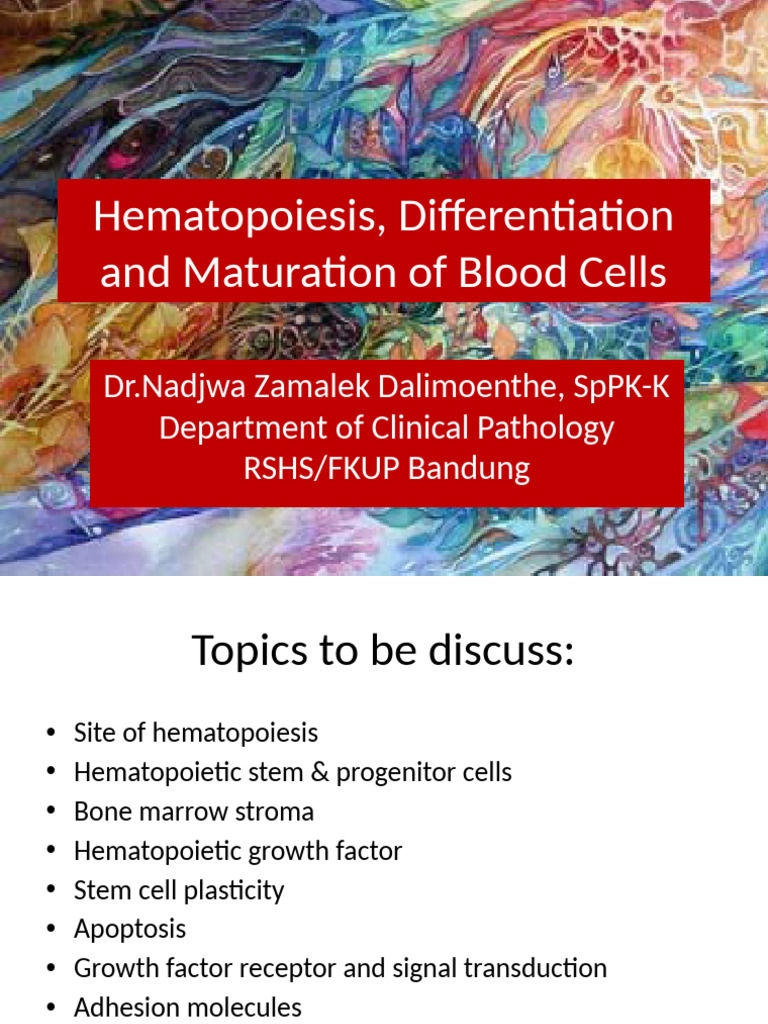 Hematopoiesis Differentiation and Maturation of Blood Cells | PDF ...