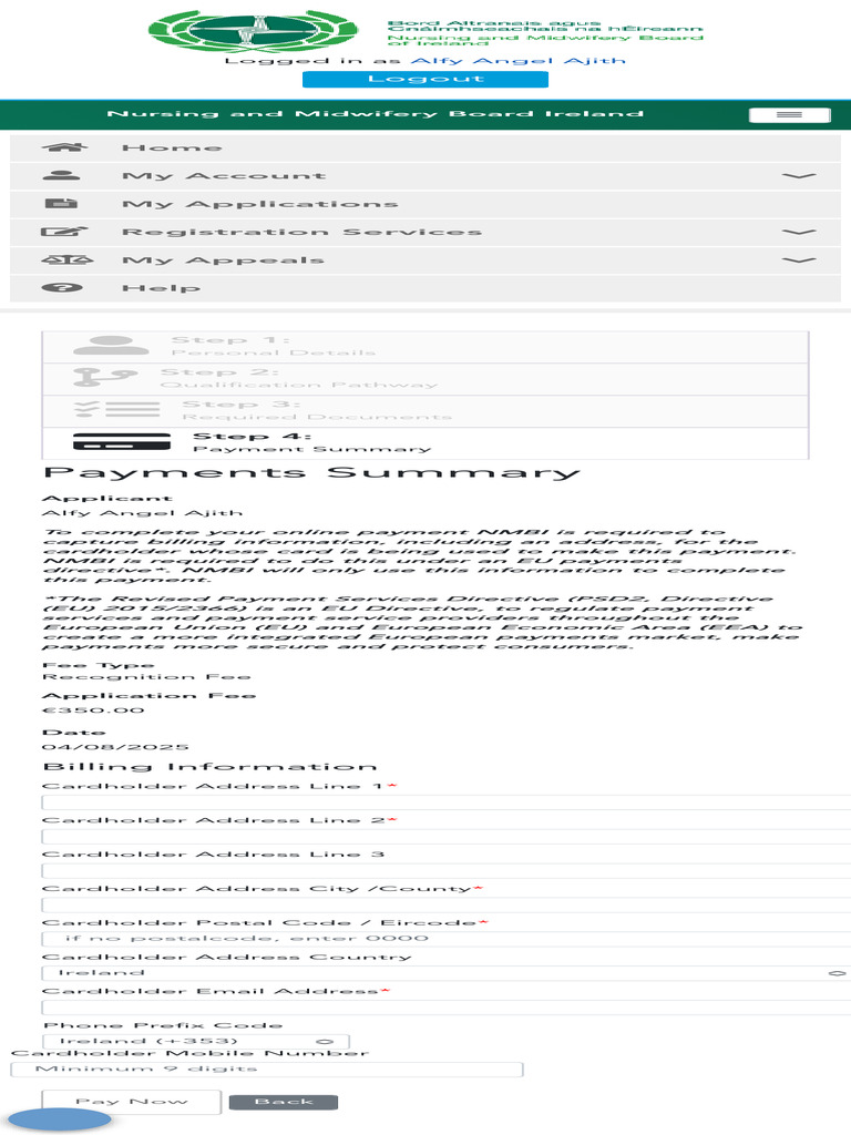 NMBI Online Payment Instructions | PDF