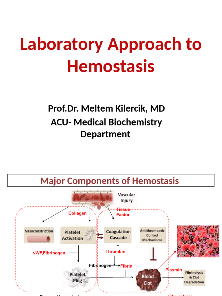 Laboratory Tests for Hemostasis Evaluation | PDF | Coagulation | Platelet