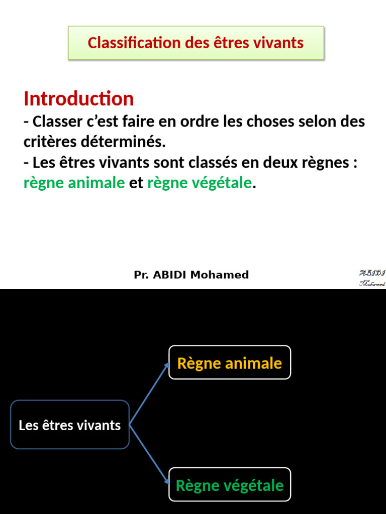 Classification des êtres vivants | PDF | Amphibiens | Reptile