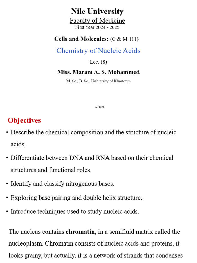 Nucleic Acids: Structure and Functions | PDF | Rna | Nucleotides