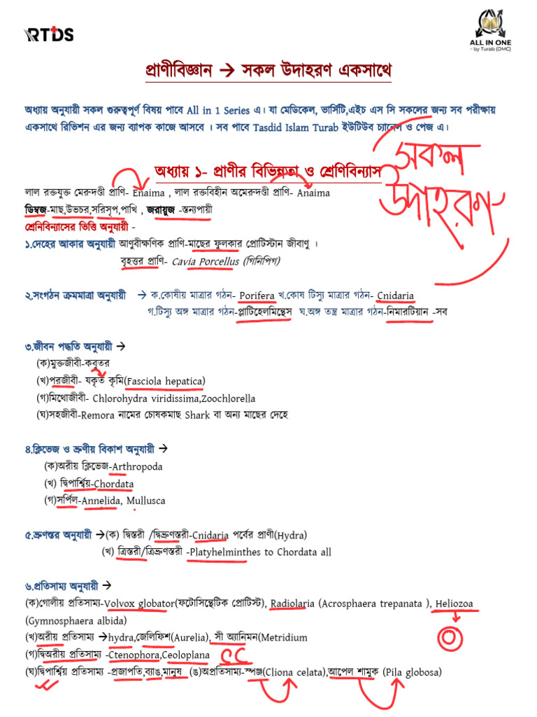 Zoo All Examples | PDF