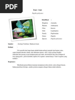 Download Kupu-Kupu by isdaruh11 SN96585695 doc pdf