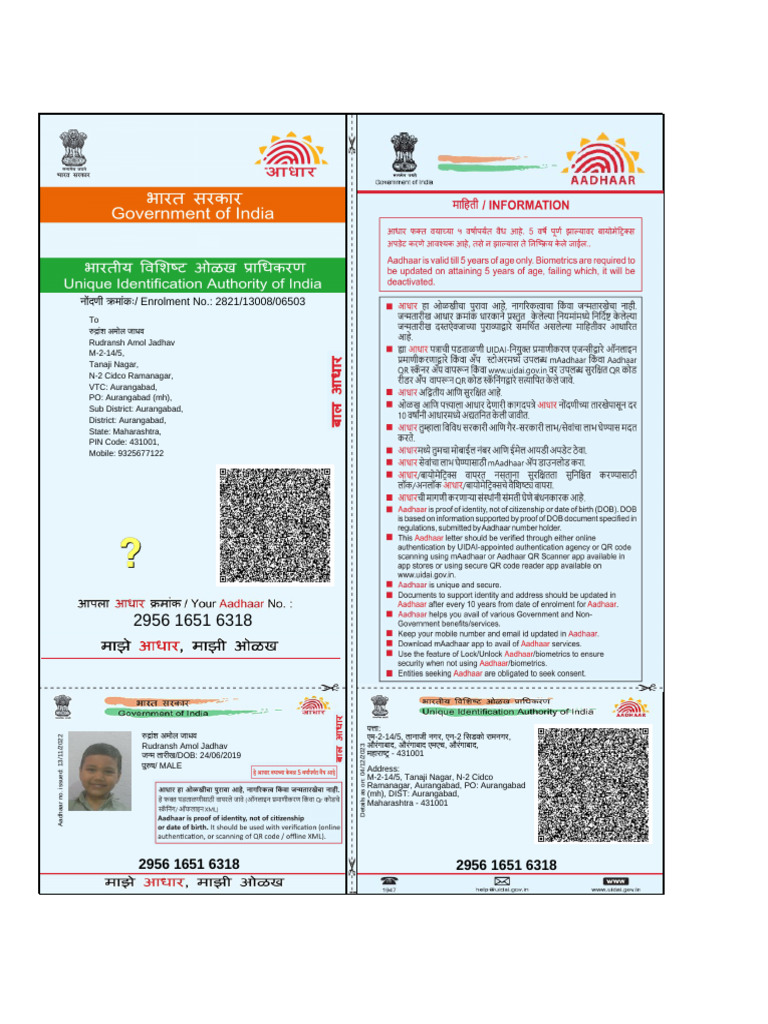 Aadhaar Registration Details for Rudransh Jadhav | PDF | Computer ...