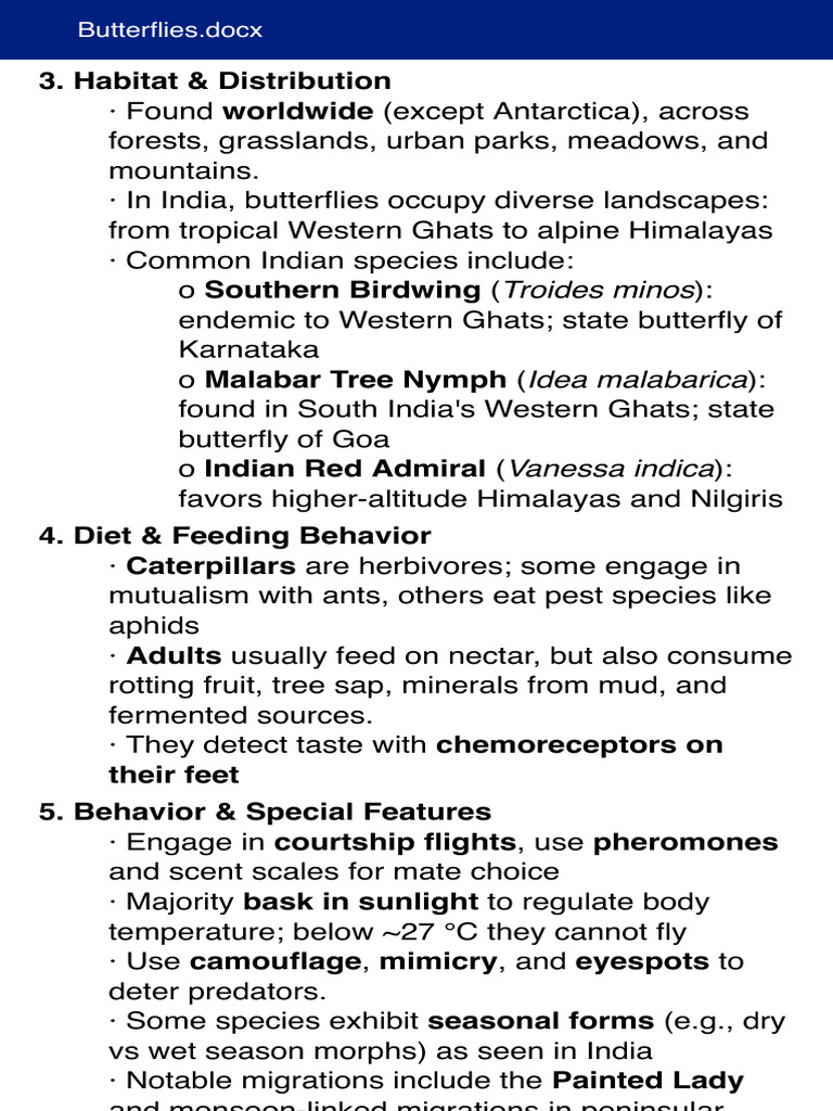 Butterflies.docx | PDF