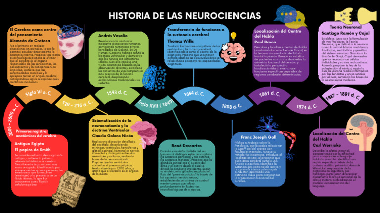 Historia de Las Neurociencias | PDF | Cerebro | Neurociencia