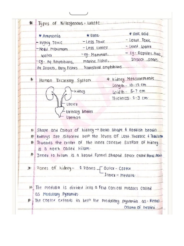 VT Don | PDF