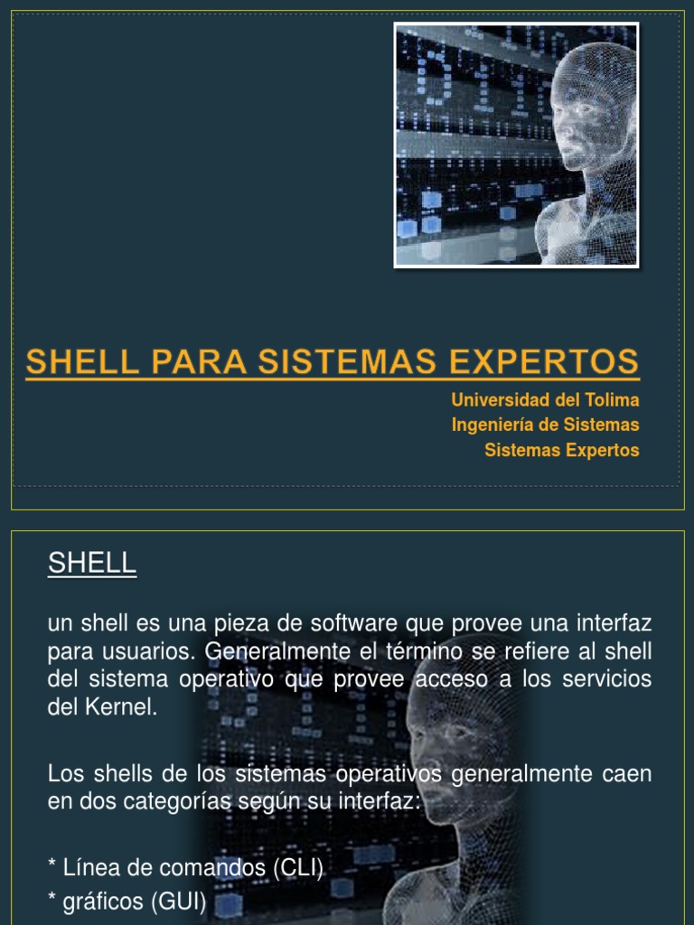 Shells en Sistemas Expertos: Conceptos Clave | PDF | Interfaz de línea ...