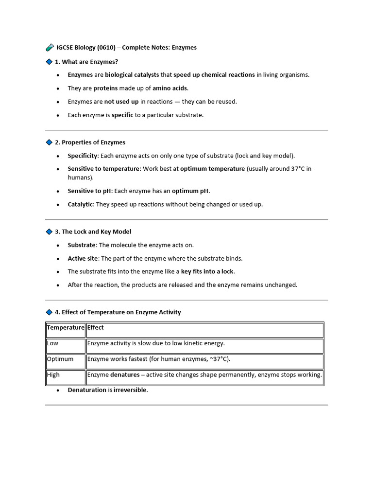 IGCSE Biology Enzymes Study Guide | PDF | Enzyme | Active Site