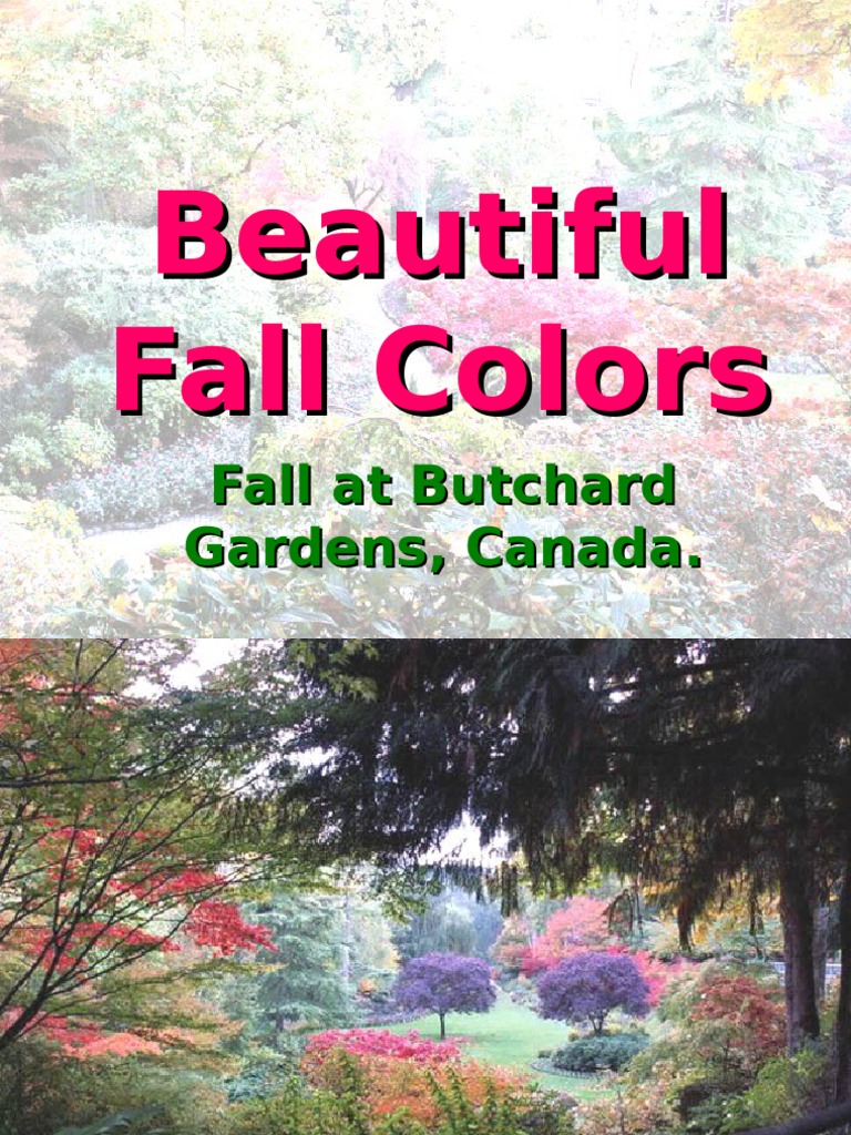 Stunning Fall Colors at Butchart Gardens | PDF