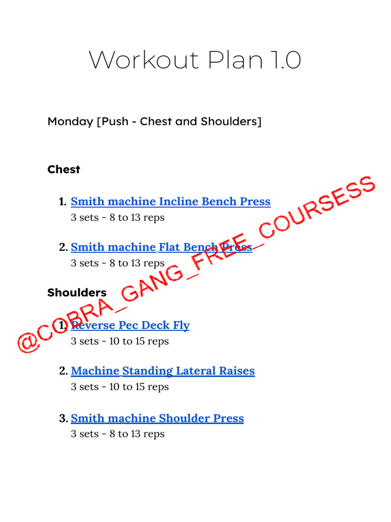 Workout Plan 1 | PDF | Weight Training