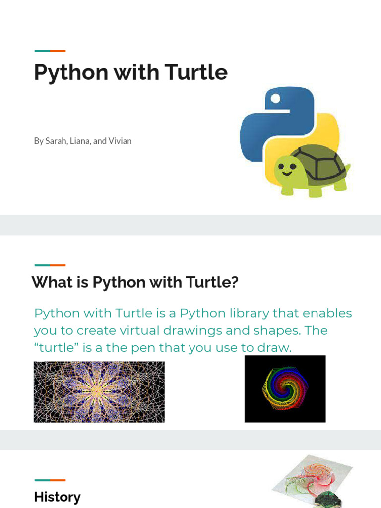 turtle.13 | PDF | Computing | Computer Programming