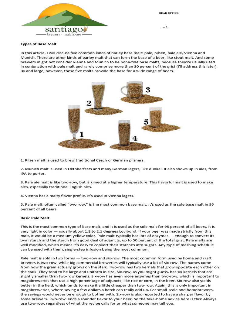 Types of Barley Base Malts Explained | PDF | Brewing | Malt