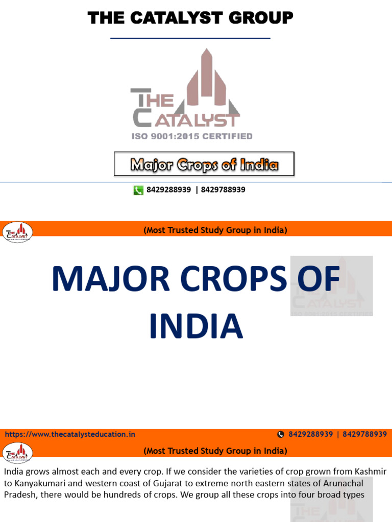Major Crops of India Overview | PDF | Legume | Tea