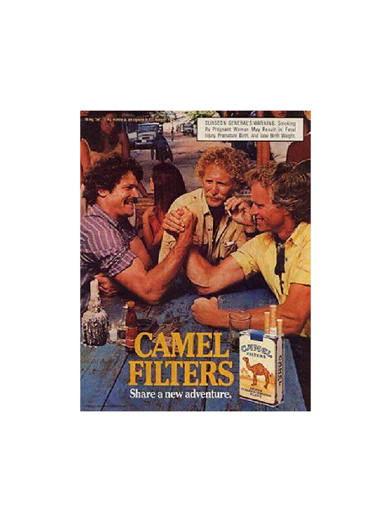 Advertising | PDF