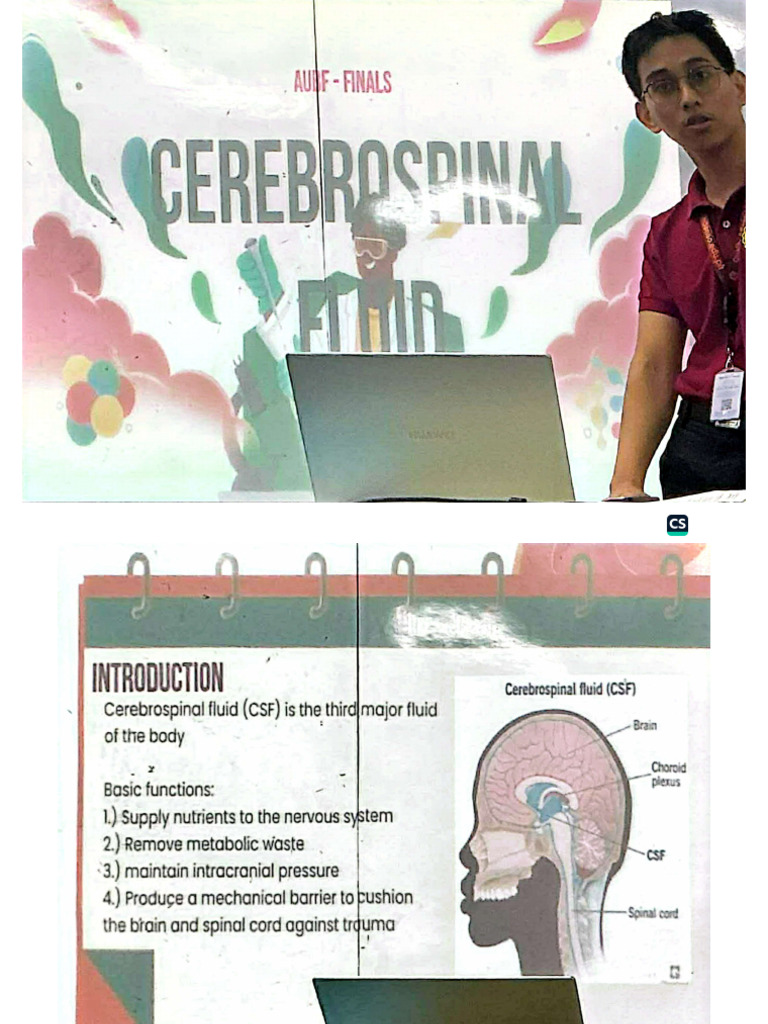 Cerebrospinal Fluid CSF | PDF