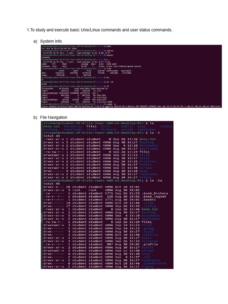 Linux Commands and File Permissions Guide | PDF