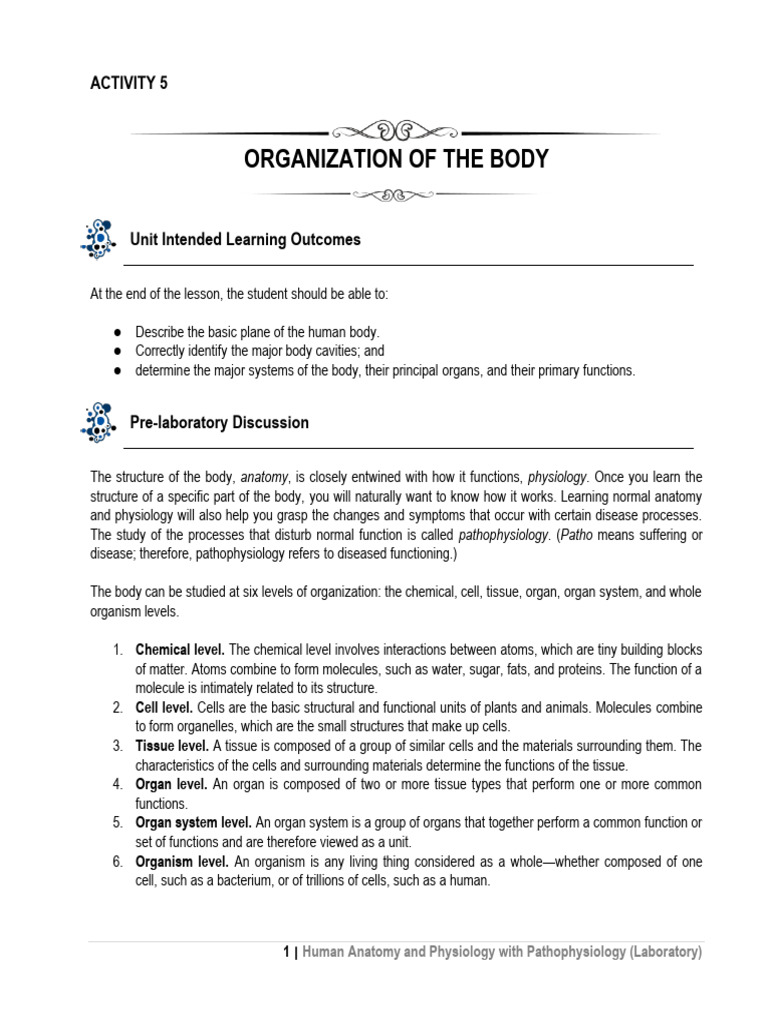 Activity 5 Organization of The Body | PDF | Human Body | Biology