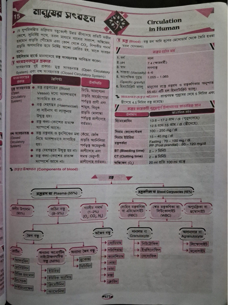 Circulation in Human | PDF
