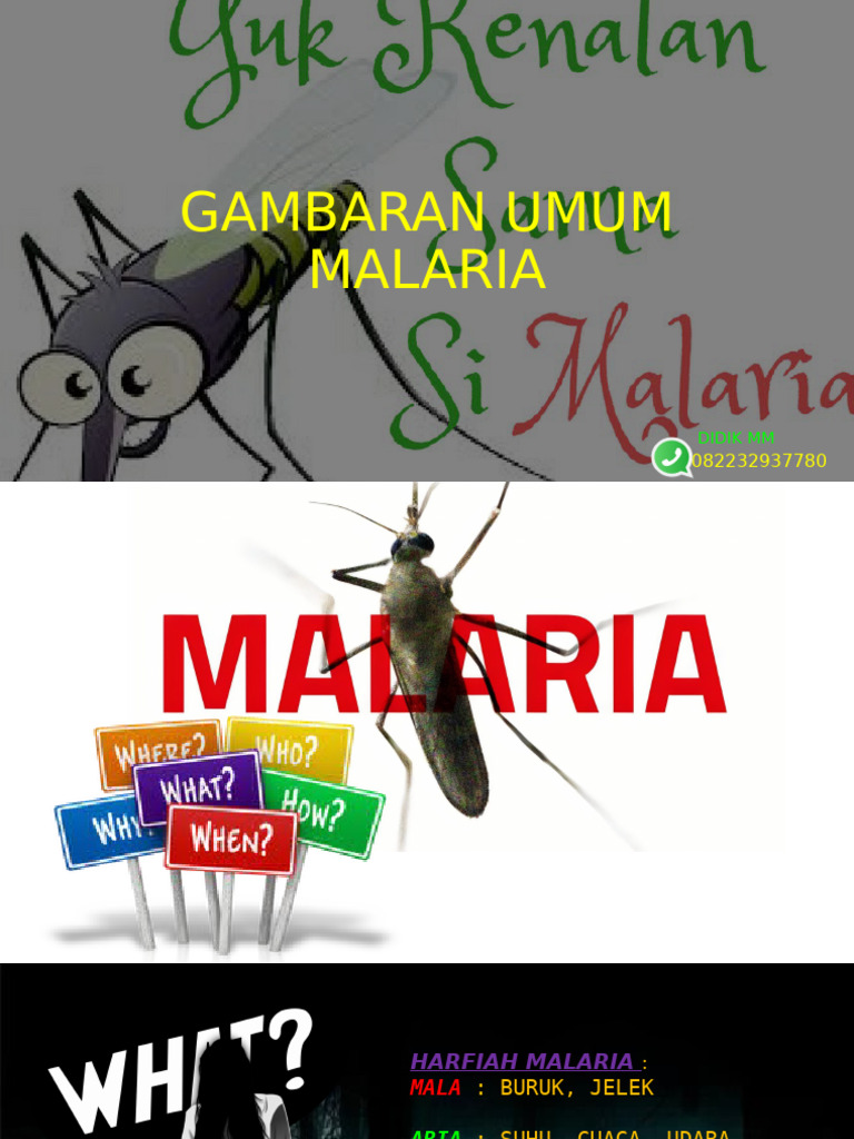 Fix Imateri Nternal Gambaran Umum Malaria 2023 | PDF