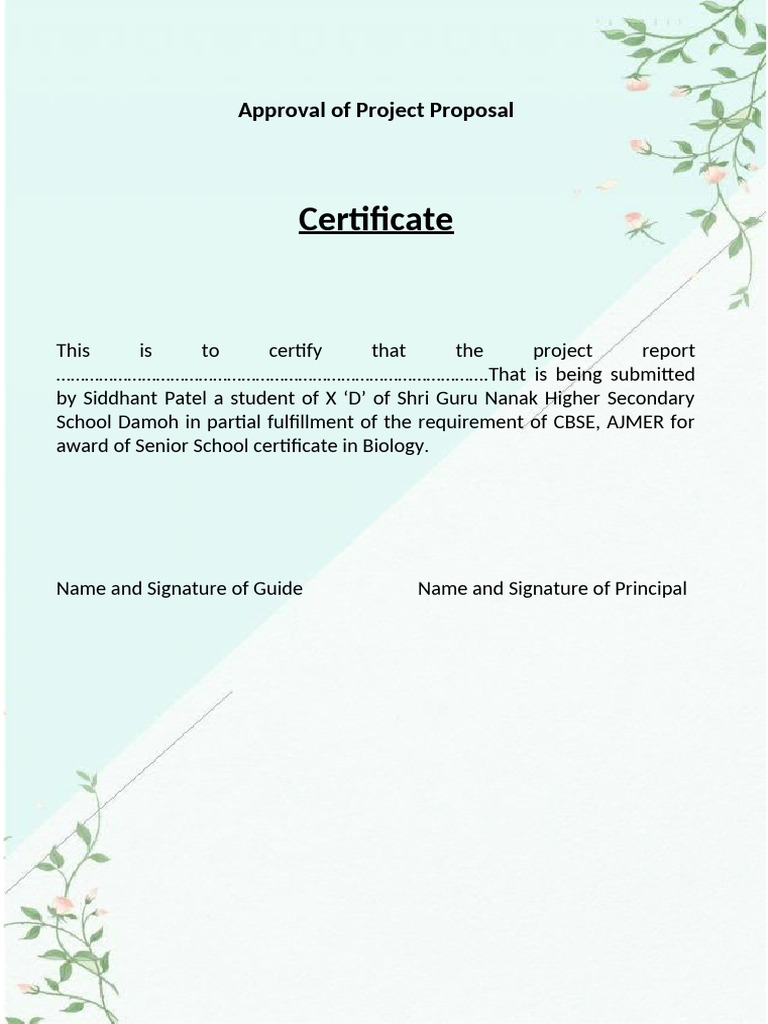 Project Proposal Approval Certificate | PDF