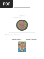 1765716297?v=1