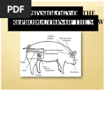 Anatomy of the Sow's Reproductive System | PDF | Luteinizing Hormone ...