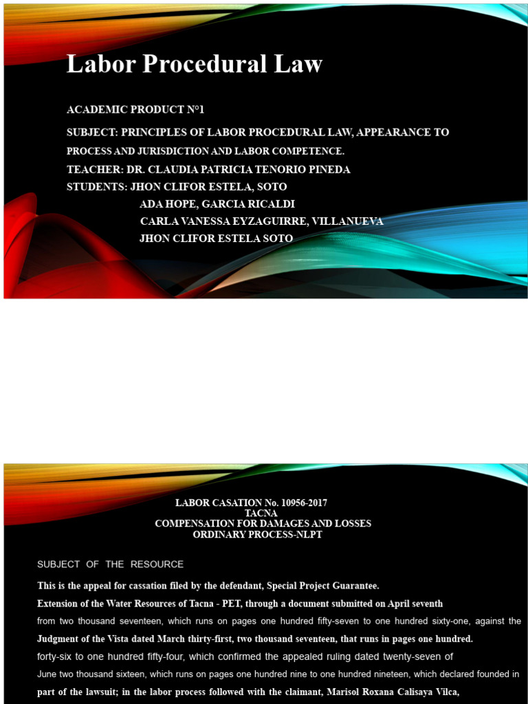 Principles of Labor Procedural Law | PDF | Employment | Labour Law