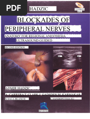 Summary Peripheral Nerve Blocks Admir Hadzic | PDF