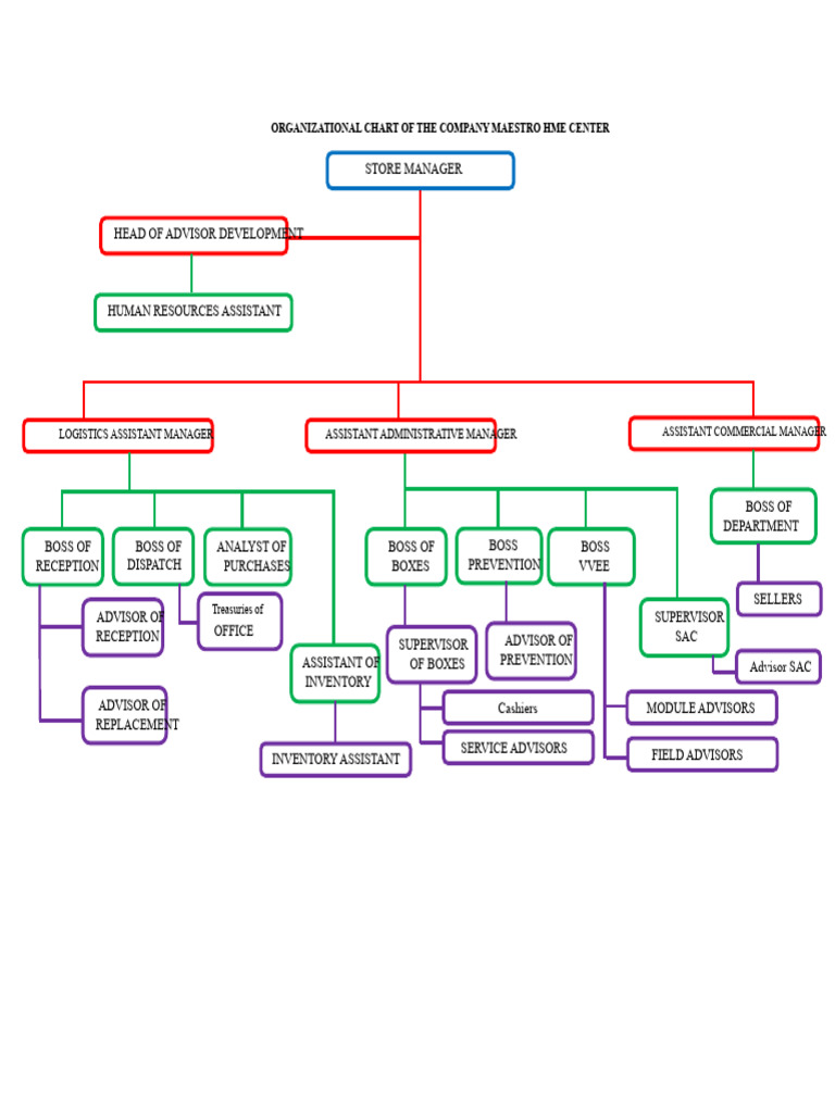 Company Organizational Chart: Maestro HME | PDF
