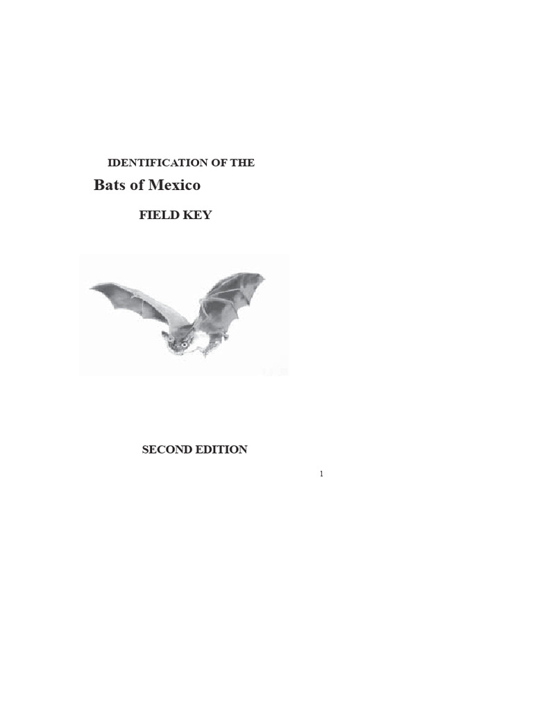 Bats of Mexico: Identification Field Key | PDF | Bat | Biodiversity