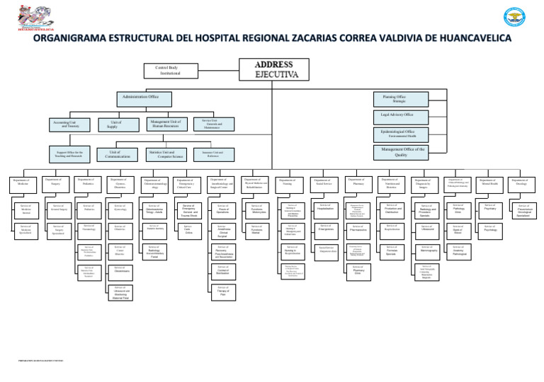 Hospital Organizational Chart | PDF | Medicine | Surgery