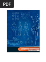 Free PDF Drawing Books Collection | PDF | Drawing | Books