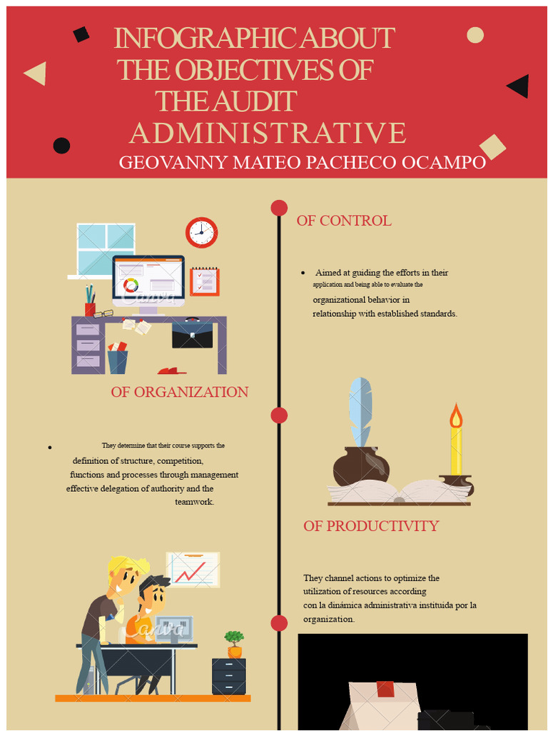 Audit Objectives Infographic Guide | PDF