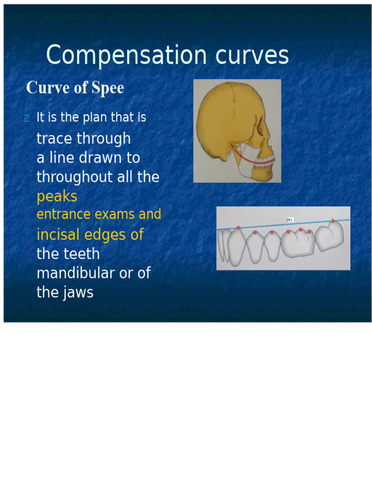 Compensation Curves | PDF | Tooth | Dental Anatomy