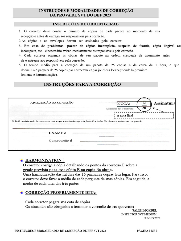 Correção Prova SVT BEF 2023: Instruções | PDF