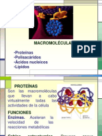 MACROMOLÉCULAS