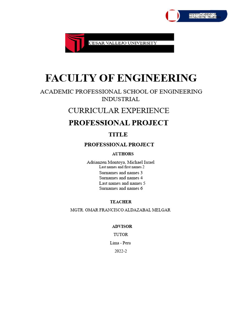 Industrial Engineering Professional Project | PDF