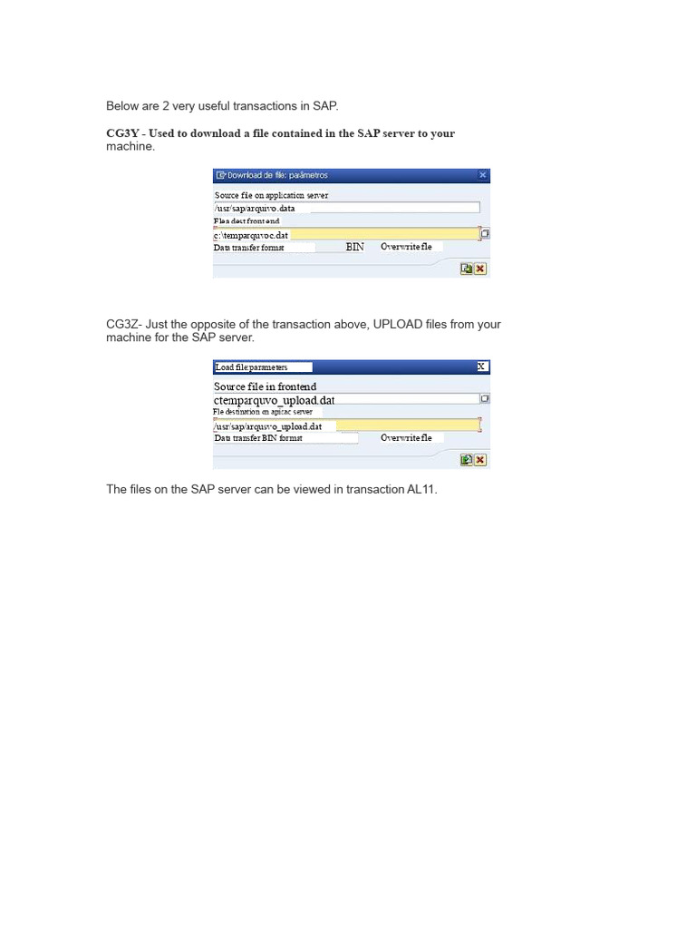 SAP File Transfer Transactions Guide | PDF