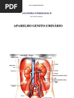 A e F II Genitourinario