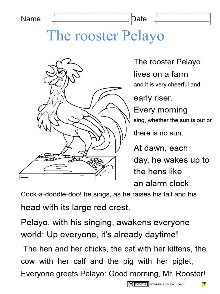 The Rooster Pelayo.docx | PDF