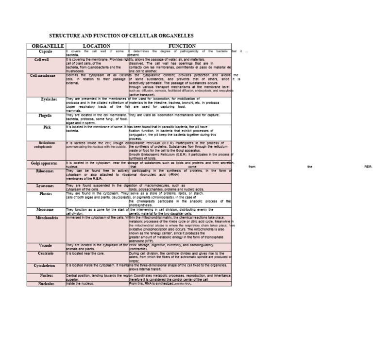 Cellular Organelles: Structure & Function | PDF | Cell (Biology ...
