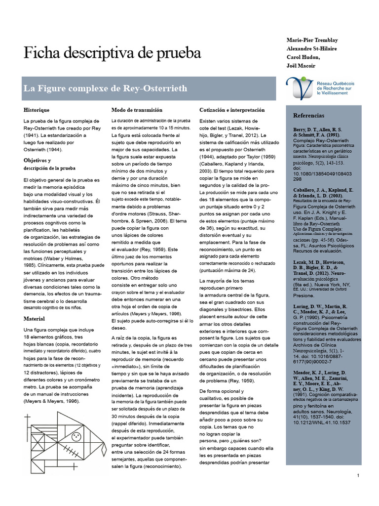 Ficha descriptiva de la Figura de Rey Final | PDF | Memoria | Cognición