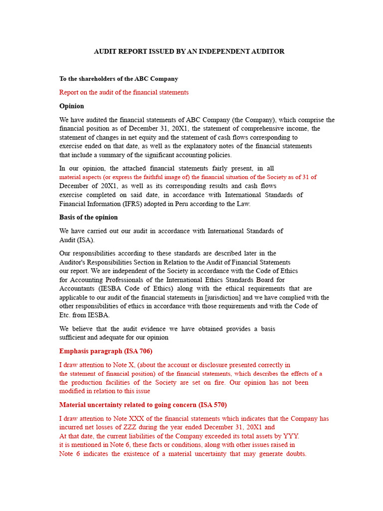 Audit Report Model Issued by An Independent Auditor | PDF | Audit ...