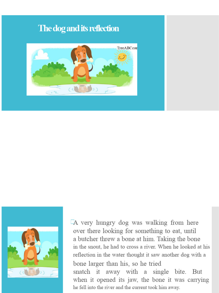 The Dog and Its Reflection | PDF